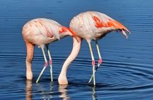 3-Day Tour in San Pedro de Atacama
