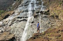Full-Day Guided Trekking Tour in Bach Ma National Park Vietnam