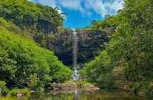 Full Day Private car only Guided SOUTH WEST of Mauritius 