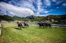 Private A/C CAR Guided FULL DAY tour North of Mauritius 