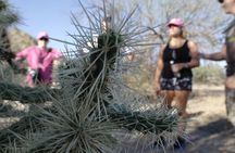 Private Scottsdale Day Hiking Tour