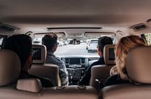 Private Driving Tour of Charleston