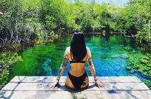 Private Tour Cenotes Sac Actun The Longest Underground River