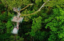 1 Day Tree Climbing and Rappelling Experience with Accommodation