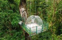 1 Day Tree Climbing and Rappelling Experience with Accommodation