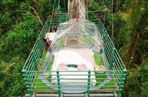 1 Day Tree Climbing and Rappelling Experience with Accommodation