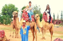 Sunset camel ride and barbecue dinner in Agadir 