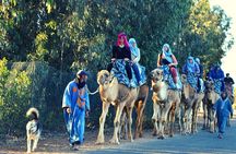 Sunset camel ride and barbecue dinner in Agadir 