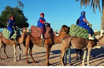 Sunset camel ride and barbecue dinner in Agadir 