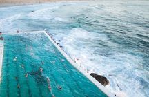 Sydney Half-Day Private Tour | Beaches, History & Icons 