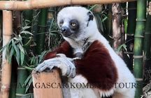 Private Tour Through the Wildlife of Madagascar and the Kingdom of Rova