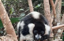 Private Tour Through the Wildlife of Madagascar and the Kingdom of Rova