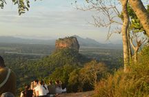 2 Nights in a Tree House in Sigiriya-with nature based activities