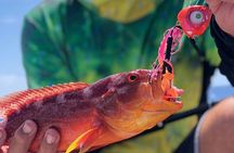  4 Hour Ariki Fishing Activity in Moorea