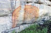 Kakadu Day Tour-Yellow Water-Nourlangie-Ubirr-Cahills-Fogg Dam