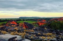 Kakadu Day Tour-Yellow Water-Nourlangie-Ubirr-Cahills-Fogg Dam
