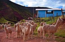 Palccoyo Rainbow Mountain from Cusco with transfers and lunch