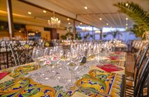 Exclusive Winery Tour with Tasting and Dinner in Chianti vineyard