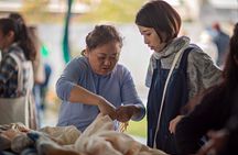 Natural Dyeing and Shibori Half Day Workshop