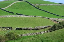 Private Tour of Newgrange and The Hill of Tara 