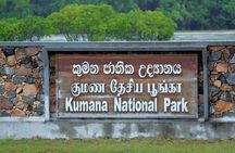 Kumana National Park Safari | from Arugam Bay