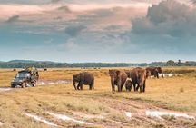 Kaudulla National Park Safari | Jeep with Tickets