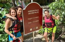 Whale Shark Encounter and Kawasan Falls Canyoneering with Lunch