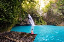 Whale Shark Encounter and Kawasan Falls Canyoneering with Lunch
