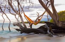Mindful Meditation and Dharma Talks around the Big Island