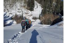 Learn to Ice Climb! Half-Day All Abilities near Breckenridge