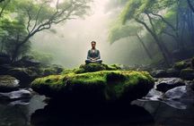 Mindful Meditation and Dharma Talks around the Big Island