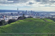 Private Auckland best Spots + Piha beach and rainforest day Tour
