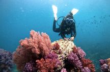 2 Fun Divers for Certified Divers in Thailand