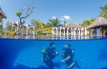 Try Dive Program in the Biorock Pemuteran