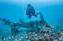 Try Dive Program in the Biorock Pemuteran