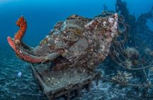 Try Dive Program in the Biorock Pemuteran