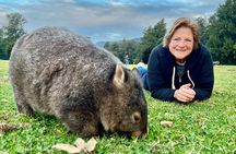 Wild Wombat and Kangaroo Day Tour from Sydney