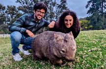 Wild Wombat and Kangaroo Day Tour from Sydney