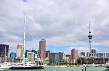 Private Auckland best Spots + Piha beach and rainforest day Tour