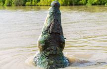 Adelaide River Cruises - Jumping Crocodile Experience