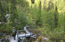 Rovaniemi: Korouoma Canyon Hike and Barbecue Experience