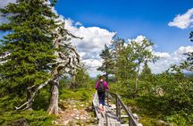 Rovaniemi: Korouoma Canyon Hike and Barbecue Experience