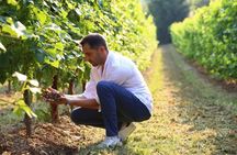 Tour and tasting in the hills of Prosecco Superiore DOCG