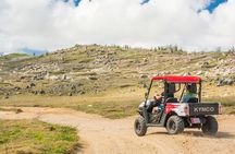 Aruba Off Road UTV Island Tour: Rugged Coastline & Culture