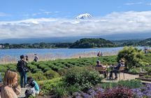 1 Day Private Mt Fuji & Lake Kawaguchiko English Speaking Driver