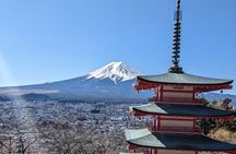 1 Day Private Mt Fuji & Lake Kawaguchiko English Speaking Driver