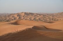 Dubai Desert Safari, Camel Ride, Entertainment Shows & BBQ Dinner