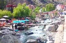Marrakech: The Atlas, the valley DE the Ourika waterfalls