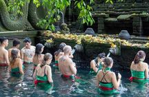 Full Day In Ubud With Private Tour
