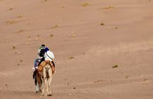 Experience Luxury in Zagora: 2-Day Desert Adventure